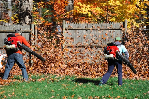 شركة تنسيق حدائق في الفجيرة